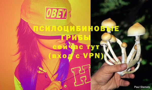 ECSTASY Краснослободск