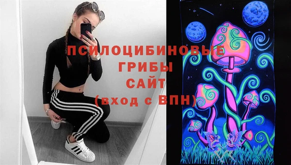 ECSTASY Краснослободск