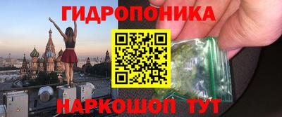 2c-b Новозыбков
