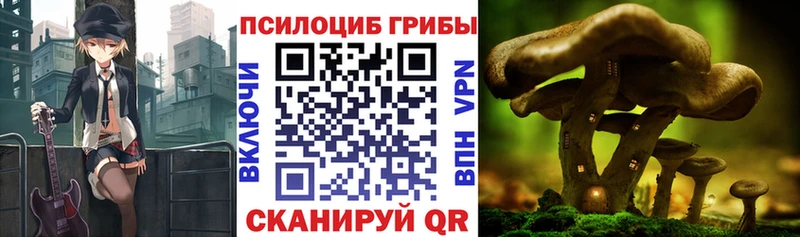 Галлюциногенные грибы мухоморы Шатура