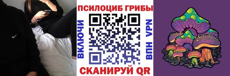 Галлюциногенные грибы мицелий  mega ссылка  Шатура 