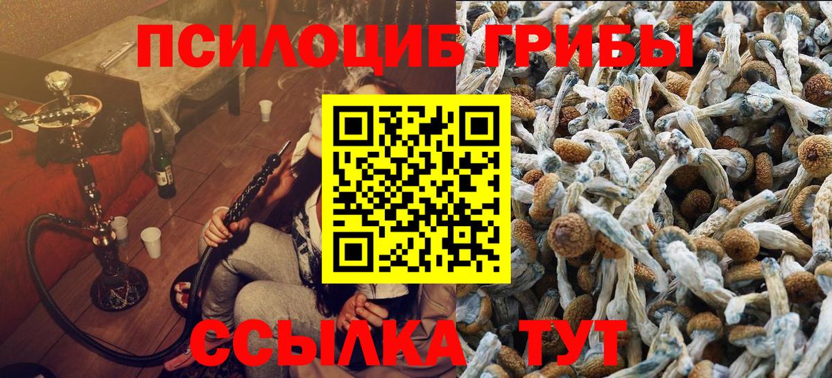 Псилоцибиновые грибы MAGIC MUSHROOMS  наркошоп  Галлюциногенные грибы Psilocybine cubensis  Шатура  Вход с VPN 