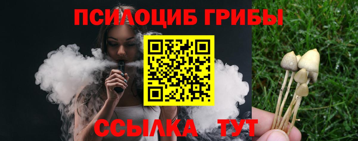 Галлюциногенные грибы мухоморы  Шатура  Псилоцибиновые грибы MAGIC MUSHROOMS 