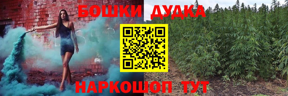 Конопля Bruce Banner  Шатура  Каннабис планчик  МАРИХУАНА семена  Бошки Шишки семена 